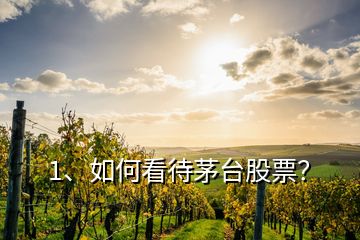 1、如何看待茅臺(tái)股票？