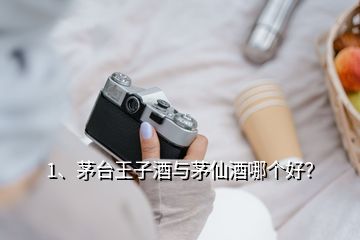 1、茅臺王子酒與茅仙酒哪個好？