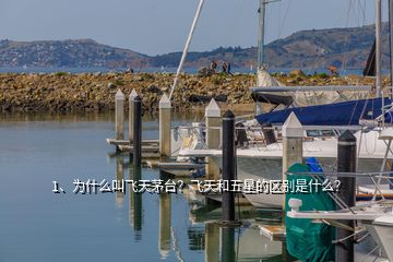 1、為什么叫飛天茅臺？飛天和五星的區(qū)別是什么？