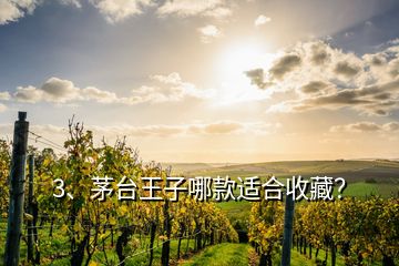 3、茅臺王子哪款適合收藏？