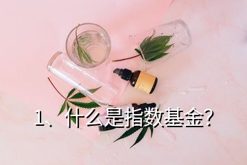 1、什么是指數(shù)基金？