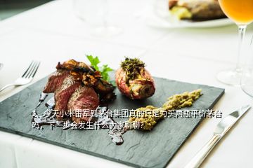 2、今天小米雷軍到茅臺集團(tuán)真的只是為買兩瓶平價(jià)茅臺嗎，下一步會發(fā)生什么大家聊聊？