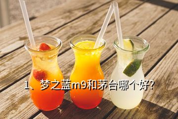 1、夢(mèng)之藍(lán)m9和茅臺(tái)哪個(gè)好？