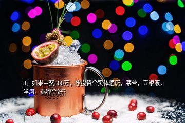 3、如果中獎500萬，想投資個實體酒店，茅臺，五糧液，洋河，選哪個好？