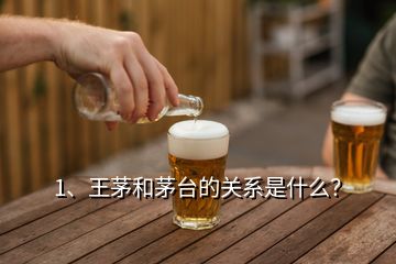 1、王茅和茅臺(tái)的關(guān)系是什么？