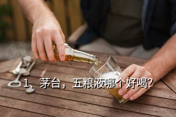 1、茅臺，五糧液哪個好喝？