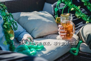 1、飛天茅臺和五糧液，哪個更好一點？