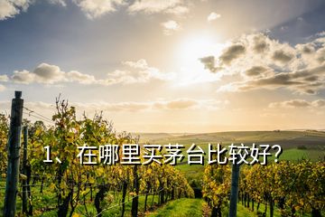 1、在哪里買茅臺比較好？