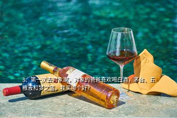 3、第一次去對象家，對象的爸爸喜歡喝白酒，茅臺、五糧液和夢之藍(lán)，我買哪個好？