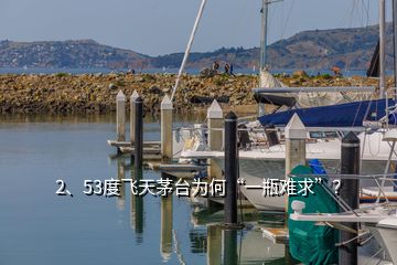 2、53度飛天茅臺(tái)為何“一瓶難求”？