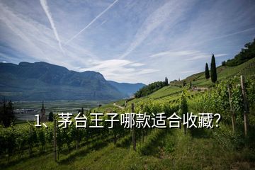1、茅臺(tái)王子哪款適合收藏？