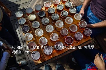4、酒桌上有三瓶酒:茅臺(tái)、五糧液和夢(mèng)之藍(lán)各1瓶，你最想喝哪瓶？為什么？