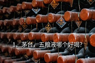 1、茅臺，五糧液哪個好喝？