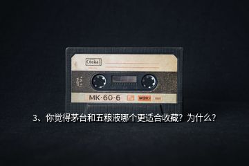 3、你覺得茅臺和五糧液哪個更適合收藏？為什么？