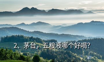 2、茅臺(tái)，五糧液哪個(gè)好喝？