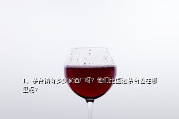 1、茅臺鎮(zhèn)有多少家酒廠呀？他們比國酒茅臺差在哪里呢？