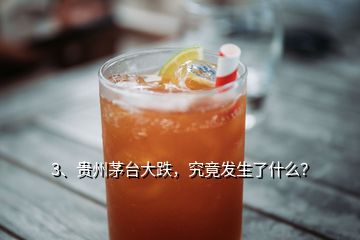 3、貴州茅臺大跌，究竟發(fā)生了什么？