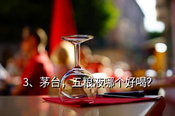 3、茅臺，五糧液哪個好喝？