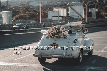 1、茅臺(tái)鎮(zhèn)有多少家酒廠呀？他們比國酒茅臺(tái)差在哪里呢？