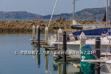 3、年底結(jié)婚了，用茅臺王子好還是洋河海之藍(lán)好？