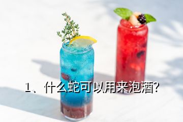 1、什么蛇可以用來泡酒？