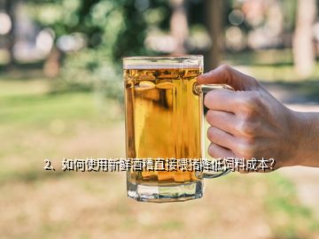 2、如何使用新鮮酒糟直接喂豬降低飼料成本？