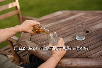 1、白酒（散酒）行業(yè)是不是走下坡路？前景不好？