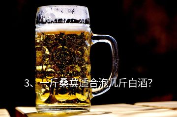 3、一斤桑葚適合泡幾斤白酒？