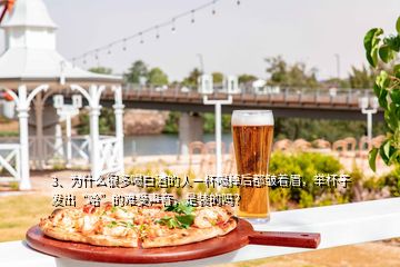 3、為什么很多喝白酒的人一杯喝掉后都皺著眉，舉杯子發(fā)出“哈”的難受聲音，是裝的嗎？