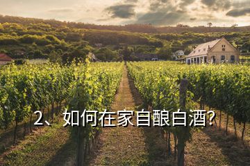 2、如何在家自釀白酒？