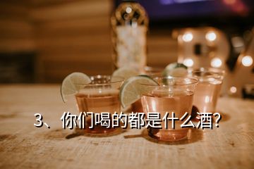 3、你們喝的都是什么酒？