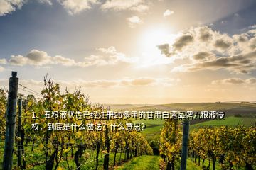 1、五糧液狀告已經(jīng)注冊(cè)20多年的甘肅白酒品牌九糧液侵權(quán)，到底是什么做法？什么意思？