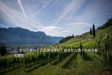 1、你認為貴州十大名酒有哪些？醬香型白酒十大排名都有哪些？