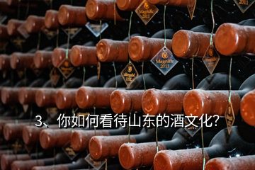 3、你如何看待山東的酒文化？