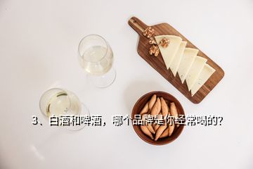 3、白酒和啤酒，哪個品牌是你經(jīng)常喝的？