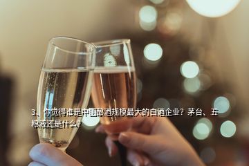 3、你覺得誰是中國釀酒規(guī)模最大的白酒企業(yè)？茅臺、五糧液還是什么？