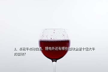 3、本輪牛市除白酒、鋰電外還有哪些板塊會是十倍大牛的板塊？