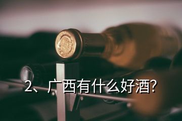 2、廣西有什么好酒？