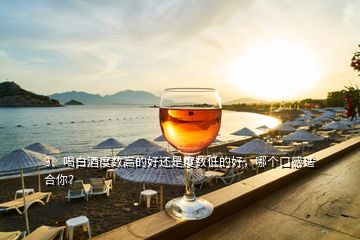 3、喝白酒度數(shù)高的好還是度數(shù)低的好，哪個(gè)口感適合你？