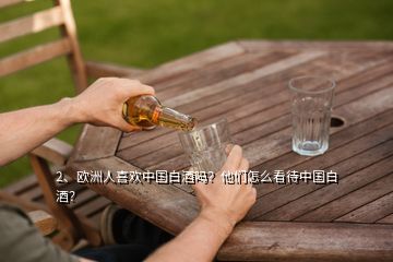 2、歐洲人喜歡中國白酒嗎？他們怎么看待中國白酒？