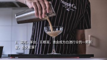 3、洋河，茅臺(tái)，五糧液，誰會(huì)成為白酒行業(yè)的一顆新星，長久發(fā)展？