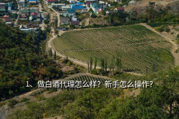 1、做白酒代理怎么樣？新手怎么操作？