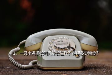 1、一只小雞多長(zhǎng)時(shí)間能長(zhǎng)三斤？得喂多少糧食？