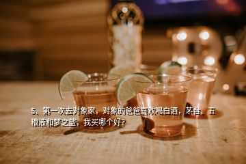 5、第一次去對象家，對象的爸爸喜歡喝白酒，茅臺、五糧液和夢之藍，我買哪個好？