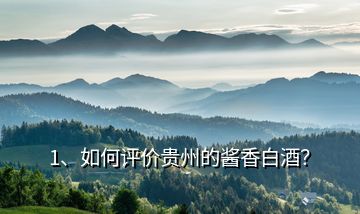 1、如何評價(jià)貴州的醬香白酒？