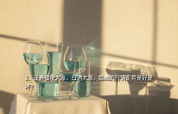 3、證券板塊大漲，白酒大漲，后面的行情走勢是好是壞？