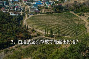 3、白酒該怎么存放才能藏出好酒？