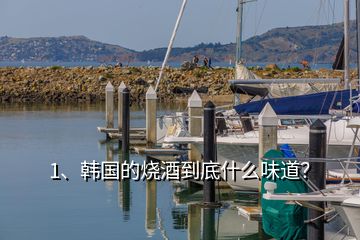 1、韓國的燒酒到底什么味道？