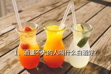 1、酒量不大的人喝什么白酒好？