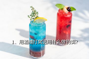 1、用酒糟打窩選用什么做釣餌？